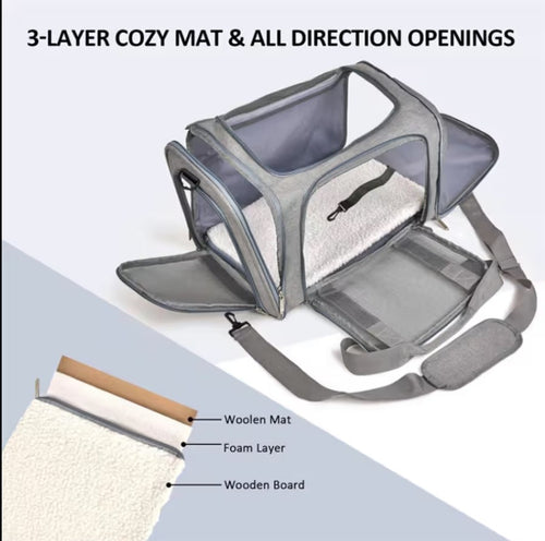 Cartzo Pet Ventilated Collapsible Mesh Carrier