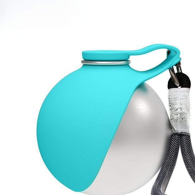 Portable Dog Water Bottle